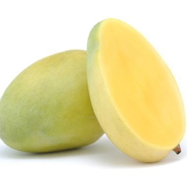 芒果的種類和品種介紹圖片 芒果的種類和品種介紹圖片