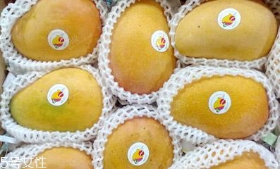 芒果的種類和品種介紹圖片 芒果的種類和品種介紹圖片