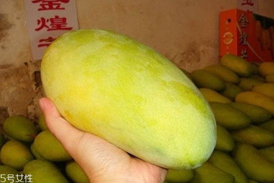 芒果的種類和品種介紹圖片 芒果的種類和品種介紹圖片