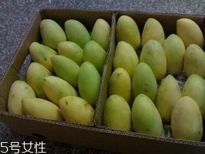 芒果的種類和品種介紹圖片 芒果的種類和品種介紹圖片