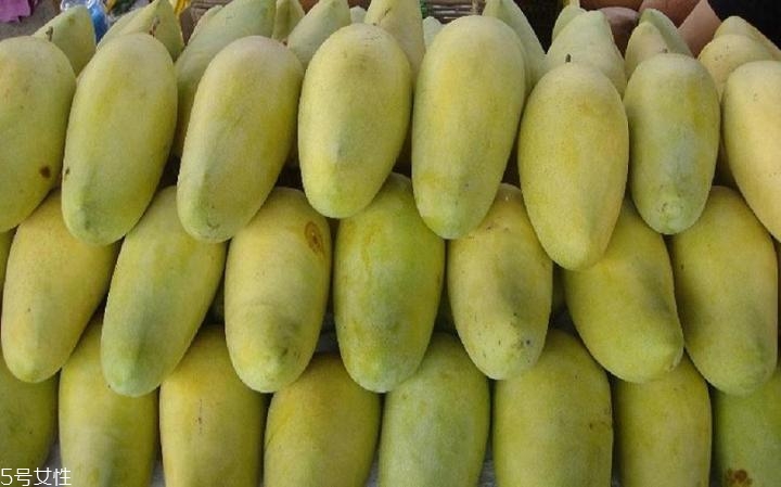 芒果的種類和品種介紹圖片 芒果的種類和品種介紹圖片