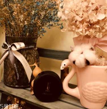 unes優(yōu)理氏好用嗎？