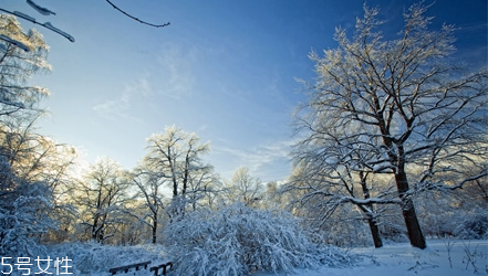 cmon遮陽傘怎么樣 日本的遮陽傘品牌 cmon遮陽傘怎么樣 日本的遮陽傘品牌