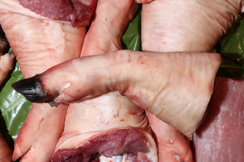 豬各部位肉的名稱圖片全解 豬各部位肉的名稱圖片全解