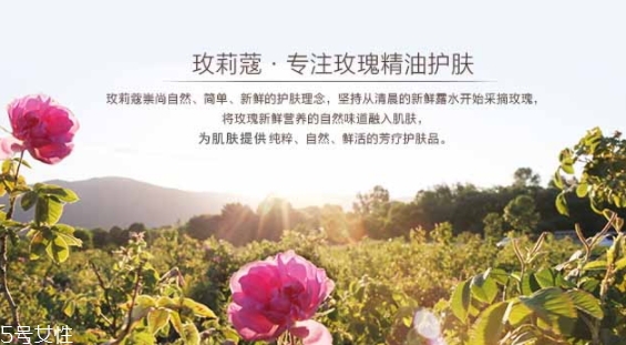 玫莉蔻護(hù)膚品怎么樣？主打玫瑰的護(hù)膚品牌