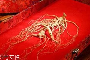 野山參怎么保存 保存技巧 野山參怎么保存 保存技巧