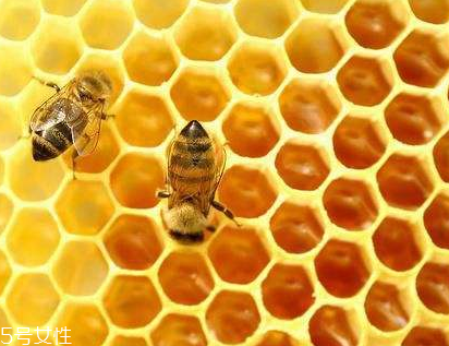 vitamin world天然蜂膠膠囊怎么樣？