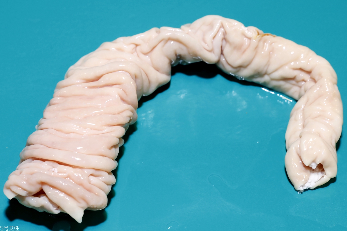 豬內(nèi)臟怎么清洗 常見豬內(nèi)臟選購(gòu)與處理