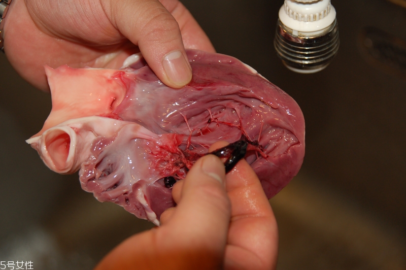 豬內(nèi)臟怎么清洗 常見豬內(nèi)臟選購(gòu)與處理