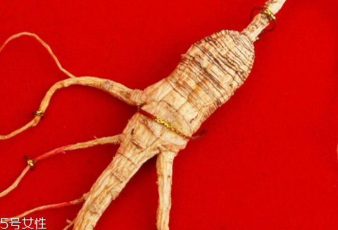 野山參什么人不能吃 禁忌人群 野山參什么人不能吃 禁忌人群