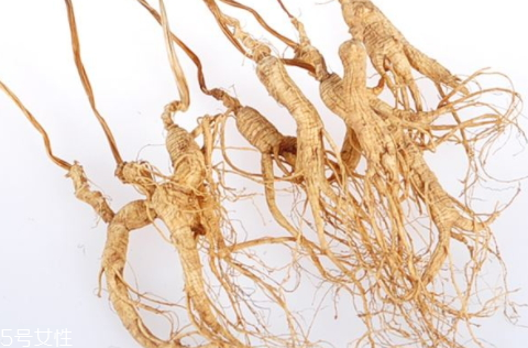 野山參能泡酒嗎 泡酒方法 野山參能泡酒嗎 泡酒方法