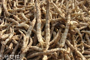 草參多少錢一斤 價格不貴 草參多少錢一斤 價格不貴