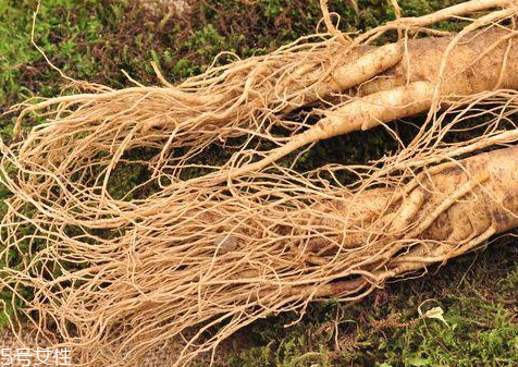 東北人參多少錢一斤 吃法及購買技巧 東北人參多少錢一斤 吃法及購買技巧