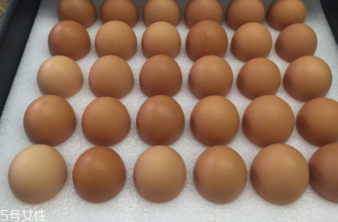 伊勢(shì)雞蛋和普通雞蛋的區(qū)別 口感比普通雞蛋要好 伊勢(shì)雞蛋和普通雞蛋的區(qū)別 口感比普通雞蛋要好