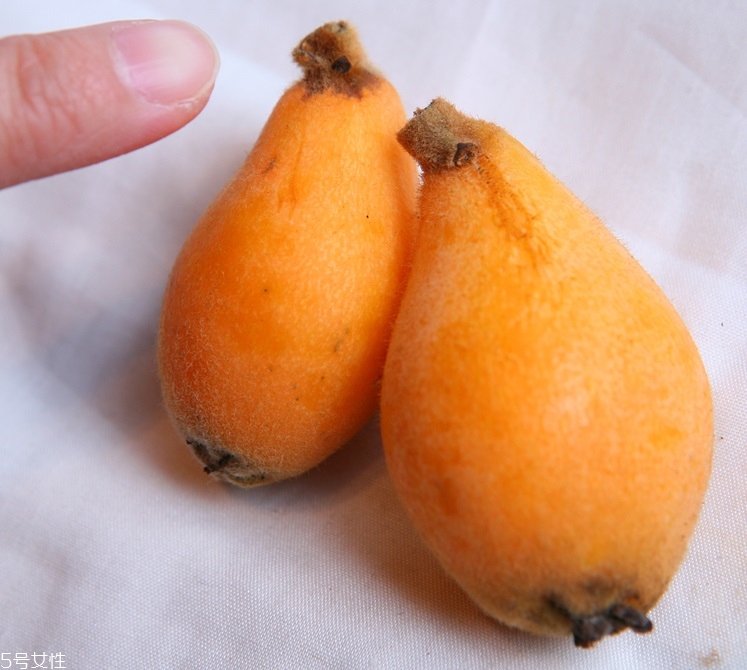 枇杷怎么挑選好吃 枇杷怎么挑選好吃