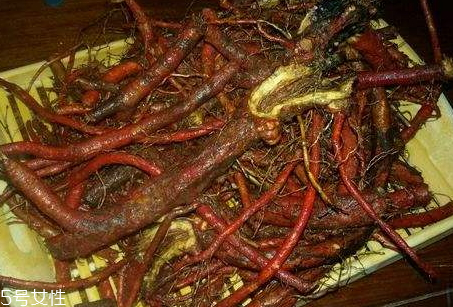 丹參什么時候挖 采收方法 丹參什么時候挖 采收方法