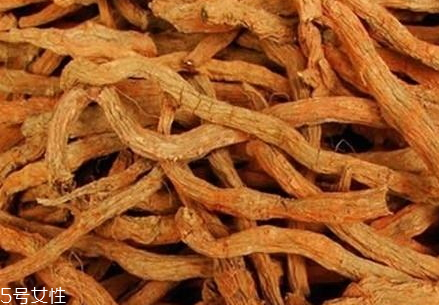 丹參能降血壓嗎 高血壓可以服用丹參 丹參能降血壓嗎 高血壓可以服用丹參