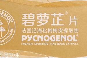 碧蘿芷到底好不好？帶你了解碧蘿芷