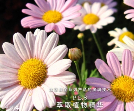 歐萃碧護膚品怎么樣？法國藥妝品牌