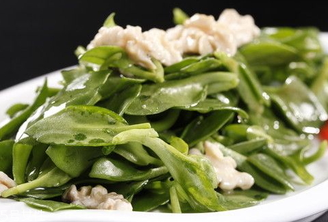 田七可以天天吃嗎 要控制量 田七可以天天吃嗎 要控制量