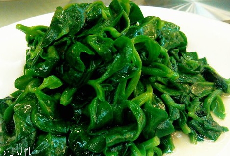 穿心蓮苦嗎 入藥的穿心蓮是苦味的 穿心蓮苦嗎 入藥的穿心蓮是苦味的