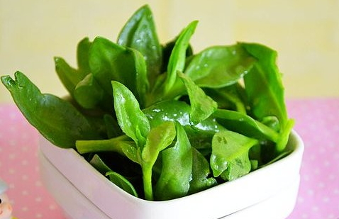 穿心蓮可以生吃嗎 建議最好不要生吃 穿心蓮可以生吃嗎 建議最好不要生吃