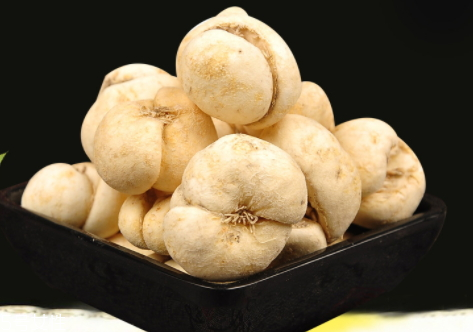 川貝母不能和什么同吃 搭配禁忌 川貝母不能和什么同吃 搭配禁忌