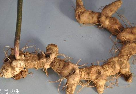 黃精和黃芪能一起泡水喝嗎 沒(méi)有中藥配伍禁忌 黃精和黃芪能一起泡水喝嗎 沒(méi)有中藥配伍禁忌