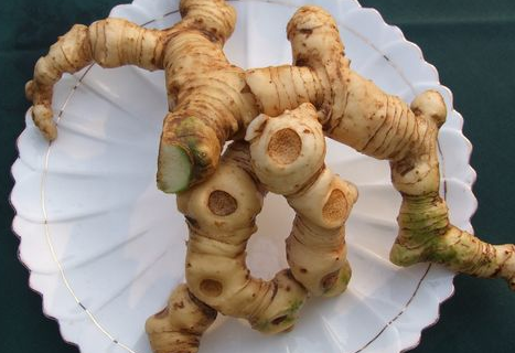 黃精可以降血糖嗎 可以調(diào)節(jié)血糖 黃精可以降血糖嗎 可以調(diào)節(jié)血糖