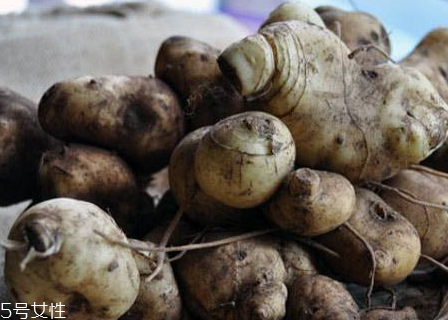 黃精怎么保存 保存方法 黃精怎么保存 保存方法