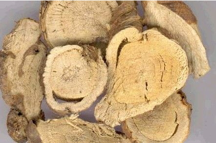 苦參可以泡水喝嗎 宜忌人群 苦參可以泡水喝嗎 宜忌人群