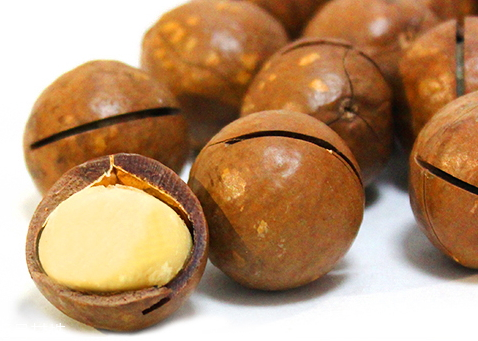 夏威夷果怎么開 用開殼器輕輕一撬就能打開 夏威夷果怎么開 用開殼器輕輕一撬就能打開