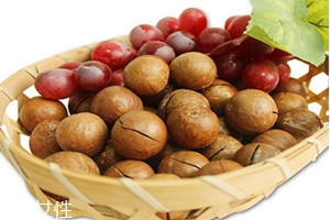 夏威夷果怎么開 用開殼器輕輕一撬就能打開 夏威夷果怎么開 用開殼器輕輕一撬就能打開