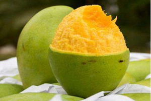 青芒是熱性還是涼性 屬性微涼 青芒是熱性還是涼性 屬性微涼