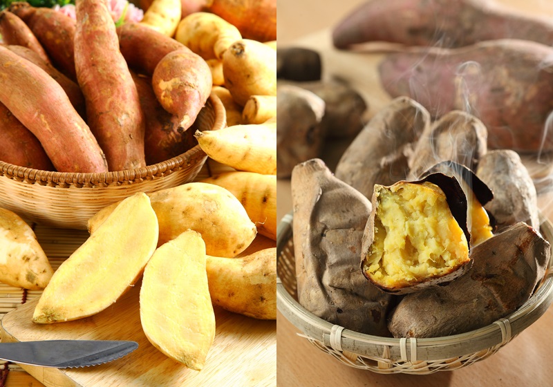 紅薯怎么保存時(shí)間長(zhǎng) 生熟方式各不同 紅薯怎么保存時(shí)間長(zhǎng) 生熟方式各不同