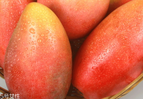 貴妃芒怎么樣才是熟了 催熟方法 貴妃芒怎么樣才是熟了 催熟方法