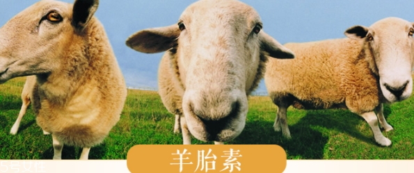 羊胎素和玻尿酸哪個好？