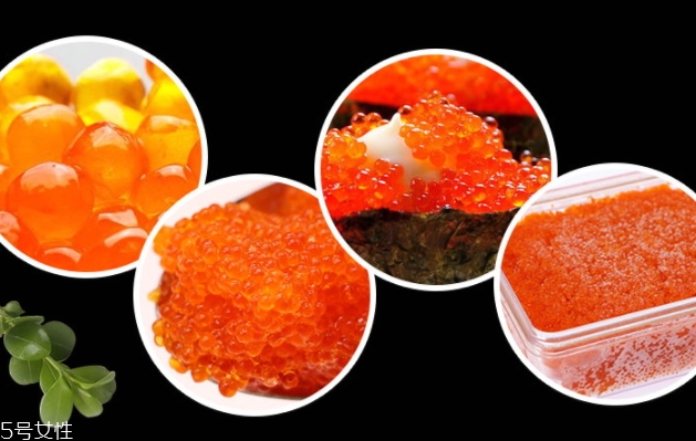 飛魚(yú)籽是什么魚(yú)的籽？壽司美味的秘訣