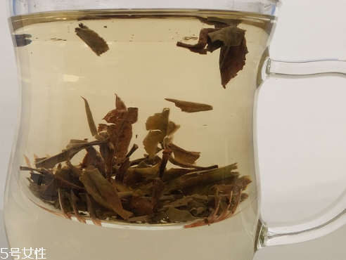 白牡丹茶多少錢一斤？180元左右