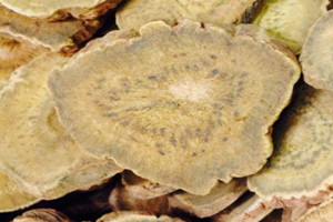 大黃可以治便秘嗎 大黃治便秘配方 大黃可以治便秘嗎 大黃治便秘配方