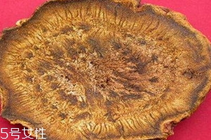 大黃可以泡腳嗎 大黃可以泡腳嗎