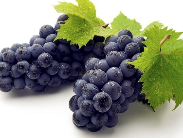 花青素可以長期服用嗎？