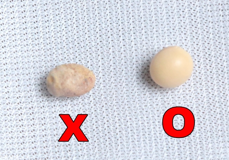 黃豆芽怎么發(fā)最快又好 自發(fā)黃豆芽的方法 黃豆芽怎么發(fā)最快又好 自發(fā)黃豆芽的方法