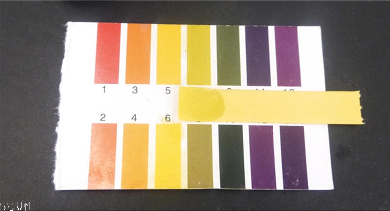 悅詩風(fēng)吟慕斯清潔面膜溫和嗎？干皮慎用