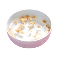 柚子籽怎么種小盆栽 柚子的子怎么種盆栽 柚子籽怎么種小盆栽 柚子的子怎么種盆栽