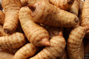 天麻什么時(shí)候吃最好 最佳時(shí)間 天麻什么時(shí)候吃最好 最佳時(shí)間