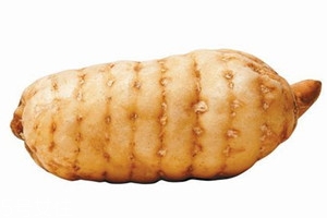 天麻為什么要姜制 增強(qiáng)祛風(fēng)并有溫中祛痰之功 天麻為什么要姜制 增強(qiáng)祛風(fēng)并有溫中祛痰之功