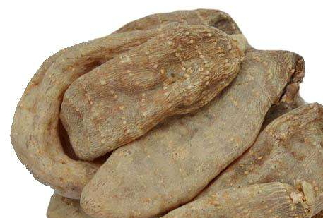 天麻和靈芝能一起吃嗎 天麻靈芝泡酒配方 天麻和靈芝能一起吃嗎 天麻靈芝泡酒配方