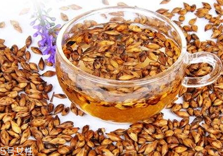 大麥茶怎么泡 溫水沖泡即可 大麥茶怎么泡 溫水沖泡即可