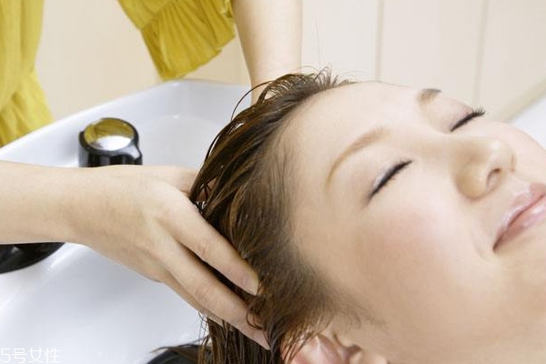 為什么天天洗頭還是油？洗發(fā)水不能直接抹頭頂